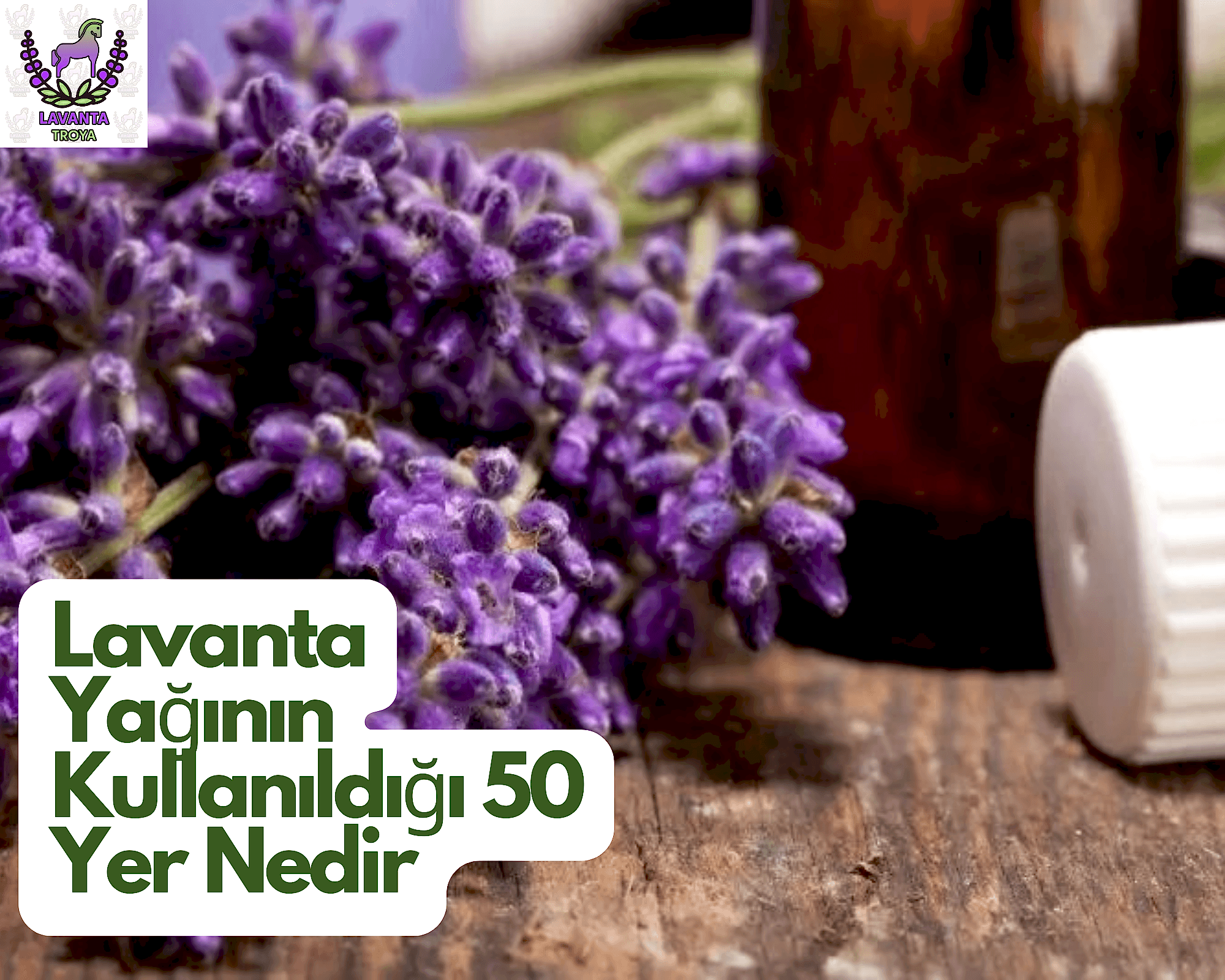 Lavanta Yağının Kullanıldığı 50 Yer Nedir