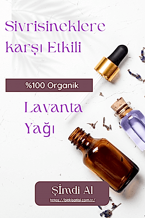 Lavanta Yağı Asya Kaplan Sivrisineğine karşı etkili Tıbbi Lavanta Yağı 10ml
